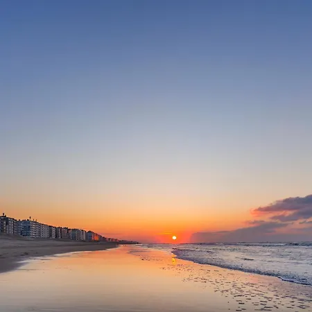 Appartement Amena 0101 - 2 Bedrooms 6p - Sunny Located And 5 Steps From The Sea - With Garage Coxyde